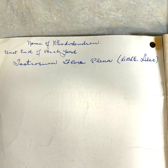 Vintage Cookbooks Well Loved and Used Lot of 12 - Picture 13 of 13